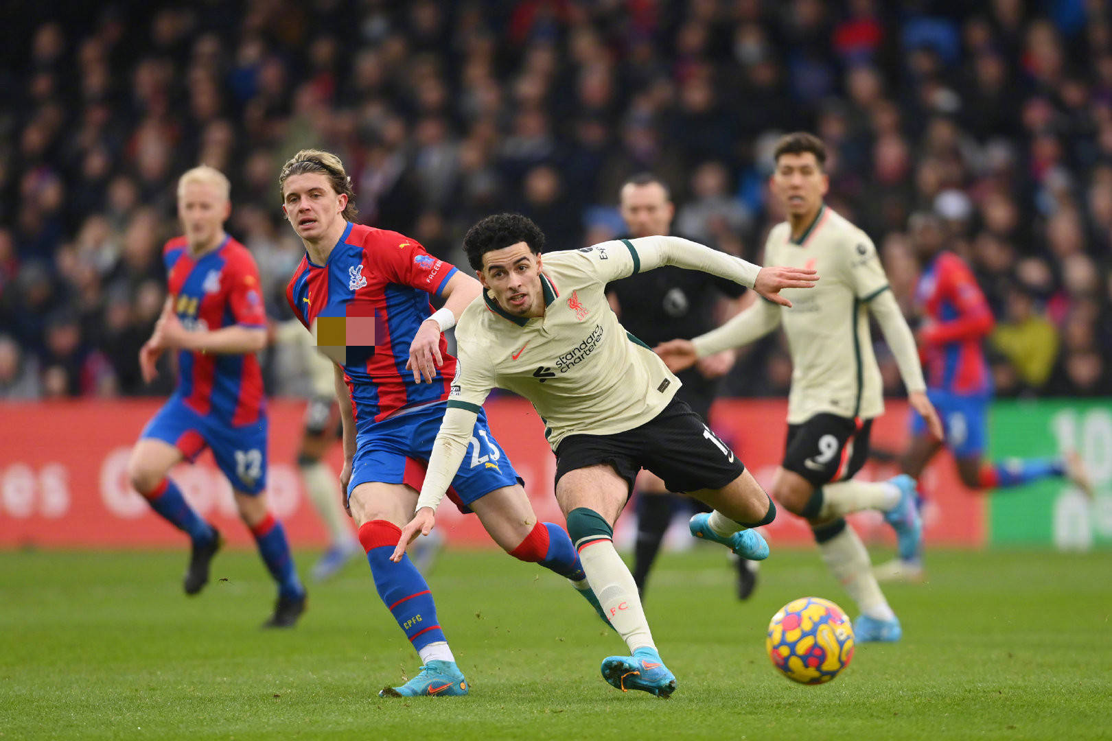 詹金斯的决 詹金斯的决